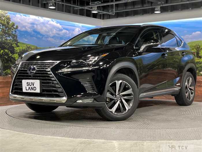 2019 Lexus NX