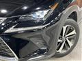2019 Lexus NX