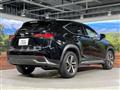 2019 Lexus NX