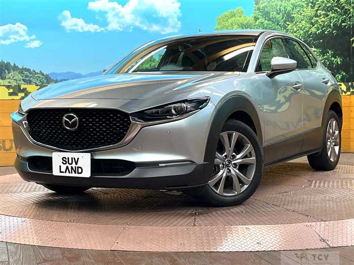 2019 Mazda Mazda Others
