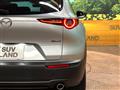 2019 Mazda Mazda Others