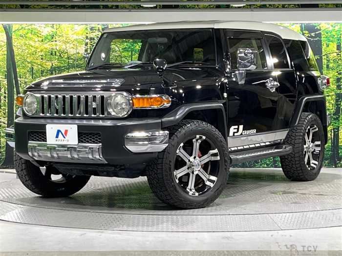 2013 Toyota FJ Cruiser
