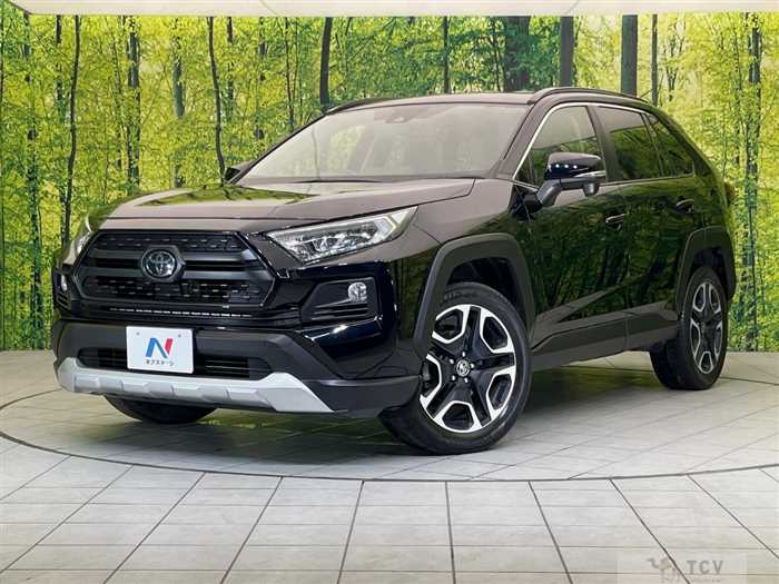 2019 Toyota RAV4