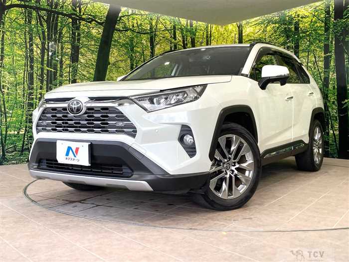 2020 Toyota RAV4