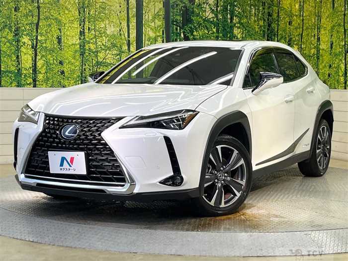 2021 Lexus Other