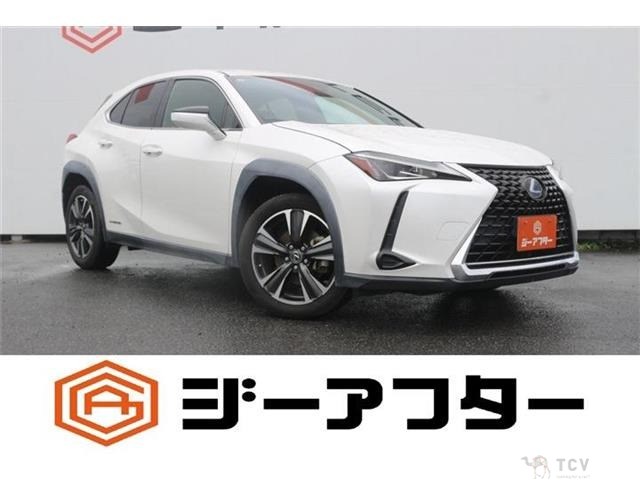 2019 Lexus UX