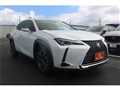 2019 Lexus UX