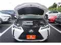 2019 Lexus UX