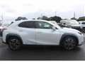 2019 Lexus UX