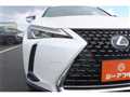 2019 Lexus UX