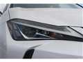 2019 Lexus UX