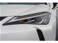 2019 Lexus UX