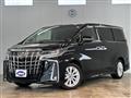 2019 Toyota Alphard G