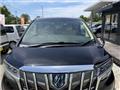 2019 Toyota Alphard G