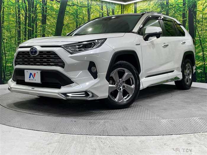 2019 Toyota RAV4