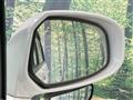 2010 Honda Freed