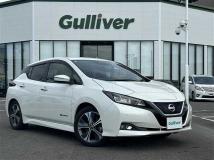 2020 Nissan Leaf