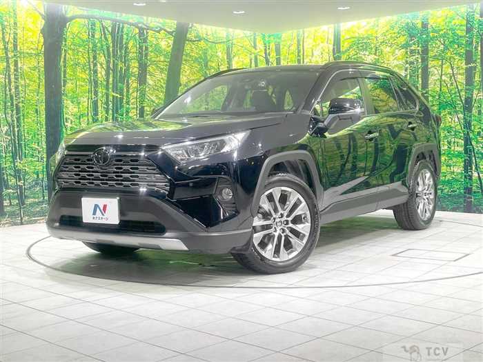 2019 Toyota RAV4