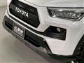 2019 Toyota Raize
