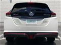 2019 Nissan Leaf