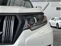 2019 Toyota Land Cruiser Prado