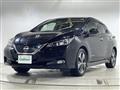 2019 Nissan Leaf