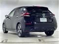 2019 Nissan Leaf