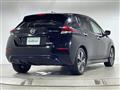 2019 Nissan Leaf