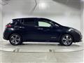 2019 Nissan Leaf
