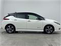 2021 Nissan Leaf