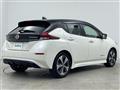 2021 Nissan Leaf