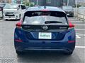 2021 Nissan Leaf