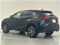 2015 Lexus NX