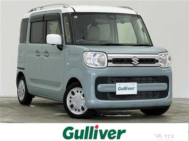 2019 Suzuki Spacia