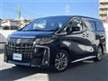 2023 Toyota Alphard