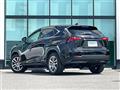 2014 Lexus NX