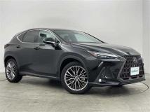 2023 Lexus NX