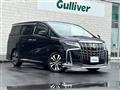2018 Toyota Alphard