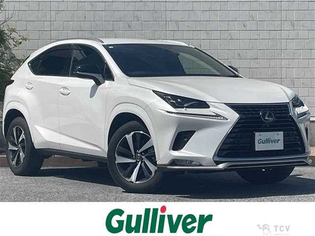 2020 Lexus NX
