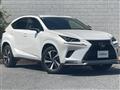 2020 Lexus NX