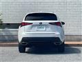 2020 Lexus NX