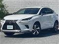 2020 Lexus NX