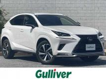 2020 Lexus NX