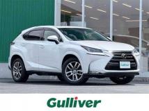 2016 Lexus NX