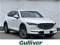 2019 Mazda CX-8