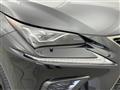 2019 Lexus NX