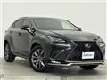 2019 Lexus NX