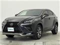 2019 Lexus NX