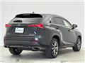 2019 Lexus NX