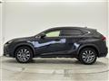 2019 Lexus NX
